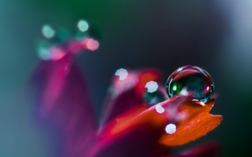 463992 (a): :1680x1050